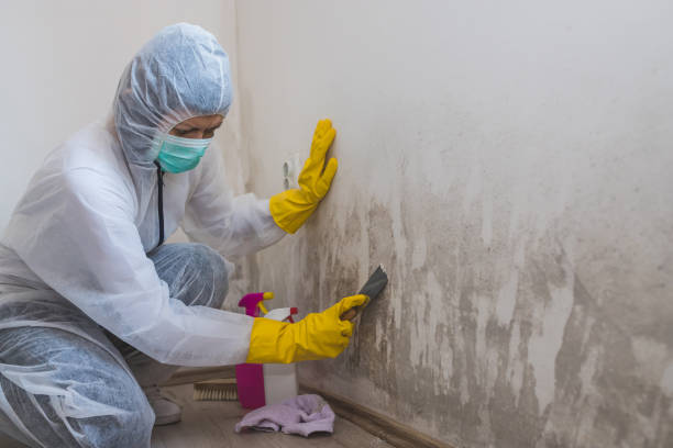 Best Asbestos and Lead Testing During Mold Inspection  in Irvine, CA